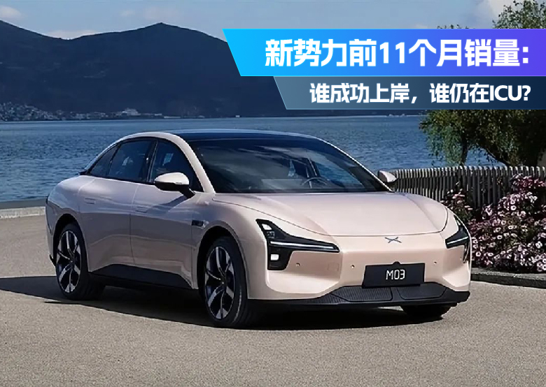 微信图片_20241204153500