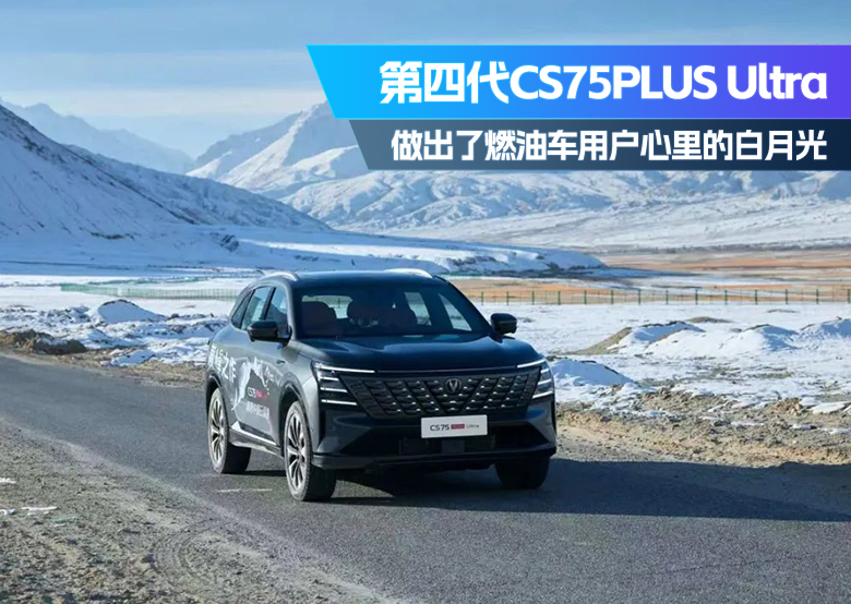 微信图片_20241226160023