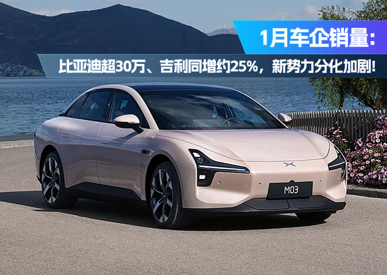 微信图片_20250208161825